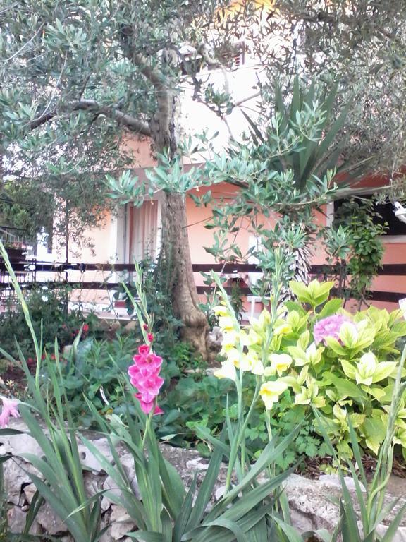 Apartments Vendi Sibenik Luaran gambar